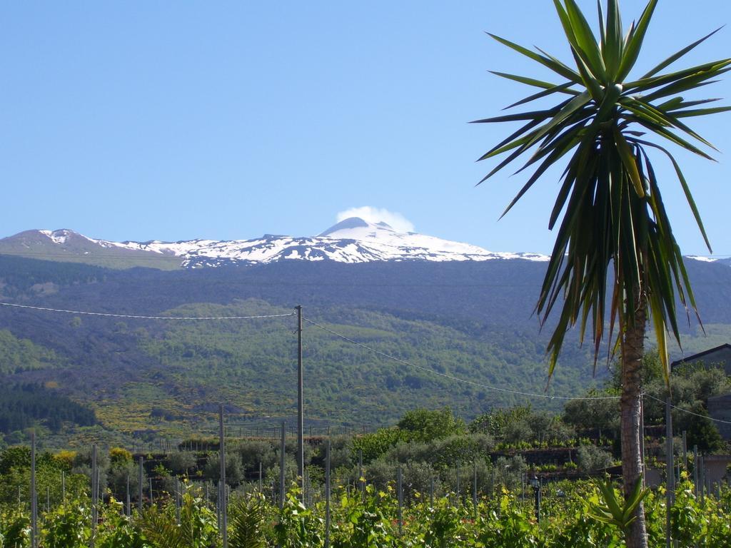 Etna Wine Azienda Agrituristica Passopisciaro Exterior photo