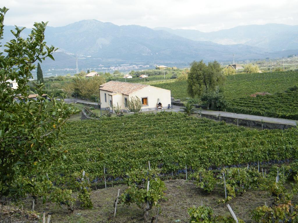 Etna Wine Azienda Agrituristica Passopisciaro Room photo